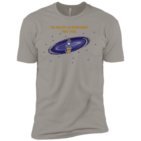T-Shirts Light Grey / YXS The Galaxy is Dangerous Boys Premium T-Shirt