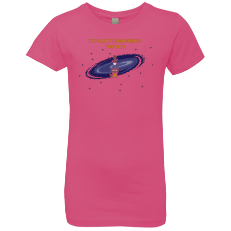 T-Shirts Hot Pink / YXS The Galaxy is Dangerous Girls Premium T-Shirt