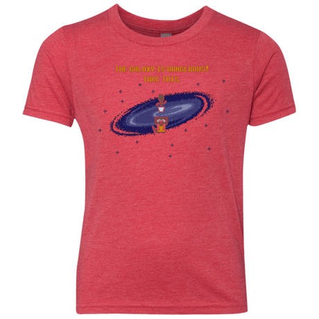 T-Shirts Vintage Red / YXS The Galaxy is Dangerous Youth Triblend T-Shirt