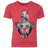 T-Shirts Vintage Red / YXS The Giant Youth Triblend T-Shirt