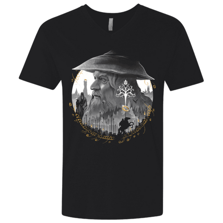 T-Shirts Black / X-Small The Grey Wizard Men's Premium V-Neck