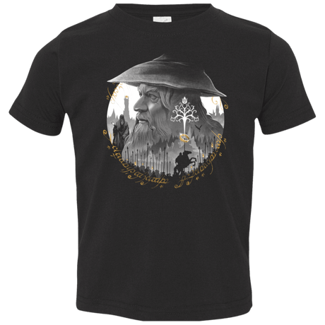 T-Shirts Black / 2T The Grey Wizard Toddler Premium T-Shirt