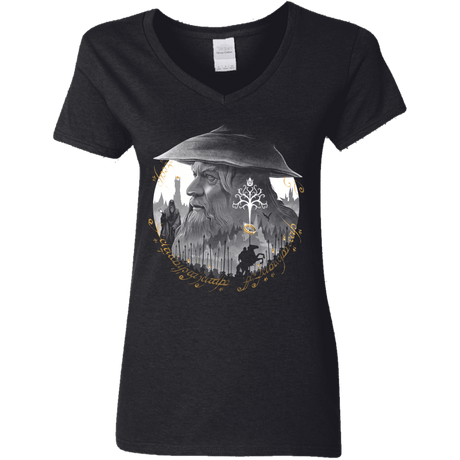 T-Shirts Black / S The Grey Wizard Women's V-Neck T-Shirt