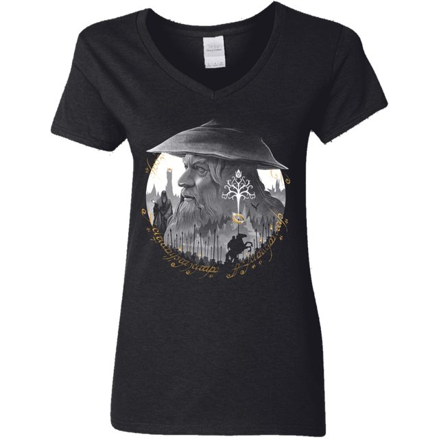 T-Shirts Black / S The Grey Wizard Women's V-Neck T-Shirt