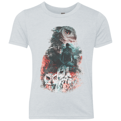 T-Shirts Heather White / YXS The Owls are Not What They Seem Youth Triblend T-Shirt