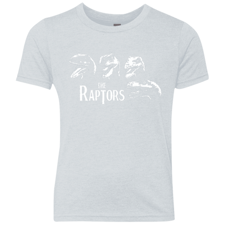 T-Shirts Heather White / YXS The Raptors Youth Triblend T-Shirt