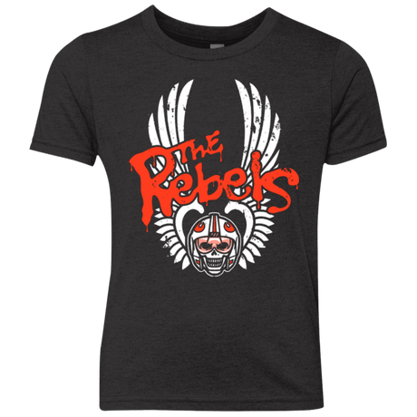 T-Shirts Vintage Black / YXS THE REBELS Youth Triblend T-Shirt