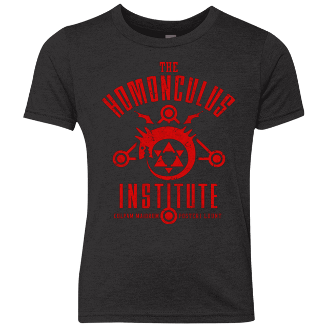 T-Shirts Vintage Black / YXS The Sins of the Father Youth Triblend T-Shirt