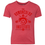 T-Shirts Vintage Red / YXS The Sins of the Father Youth Triblend T-Shirt