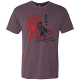 The Star Warrior Men's Triblend T-Shirt