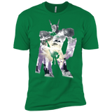 T-Shirts Kelly Green / X-Small The Valkyries Men's Premium T-Shirt