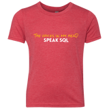 T-Shirts Vintage Red / YXS The Voices In My Head Speak SQL Youth Triblend T-Shirt