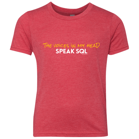 T-Shirts Vintage Red / YXS The Voices In My Head Speak SQL Youth Triblend T-Shirt