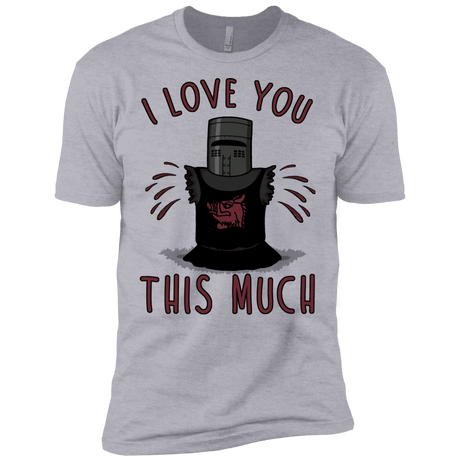 T-Shirts Heather Grey / X-Small This much Men's Premium T-Shirt