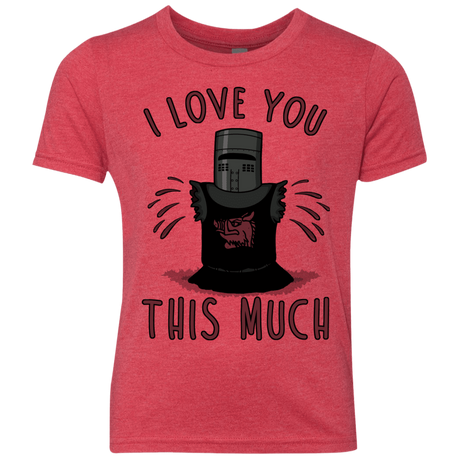 T-Shirts Vintage Red / YXS This much Youth Triblend T-Shirt