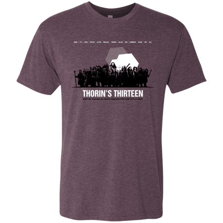 T-Shirts Vintage Purple / Small Thorin's Thirteen Men's Triblend T-Shirt