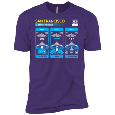 T-Shirts Purple / X-Small Three Storms Men's Premium T-Shirt