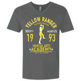 T-Shirts Heavy Metal / X-Small Tiger Ranger Men's Premium V-Neck