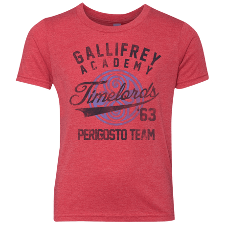 T-Shirts Vintage Red / YXS Timelords Academy Youth Triblend T-Shirt