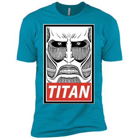 T-Shirts Turquoise / YXS Titan Boys Premium T-Shirt