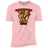 T-Shirts Light Pink / YXS Titan Gym Boys Premium T-Shirt