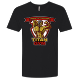 T-Shirts Black / X-Small Titan Gym Men's Premium V-Neck