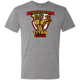 T-Shirts Premium Heather / S Titan Gym Men's Triblend T-Shirt