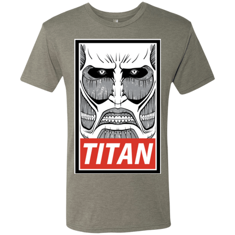 T-Shirts Venetian Grey / Small Titan Men's Triblend T-Shirt
