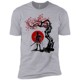 T-Shirts Heather Grey / X-Small Titan shifter under the sun Men's Premium T-Shirt