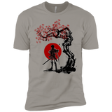 T-Shirts Light Grey / X-Small Titan shifter under the sun Men's Premium T-Shirt