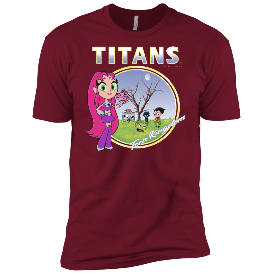 Titans Men's Premium T-Shirt