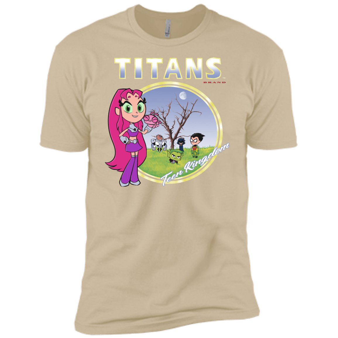 Titans Men's Premium T-Shirt