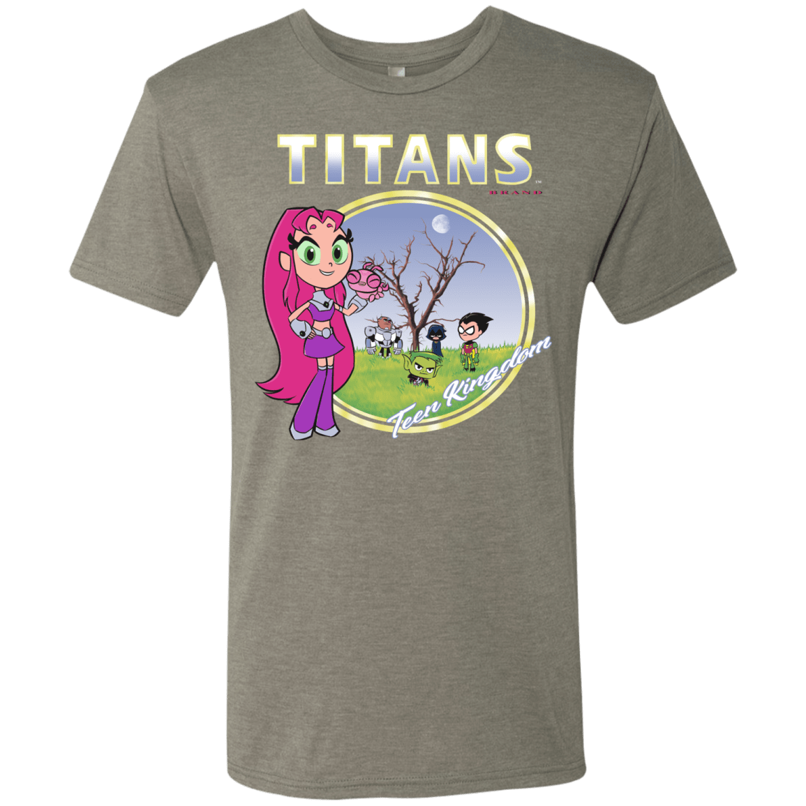 T-Shirts Venetian Grey / S Titans Men's Triblend T-Shirt