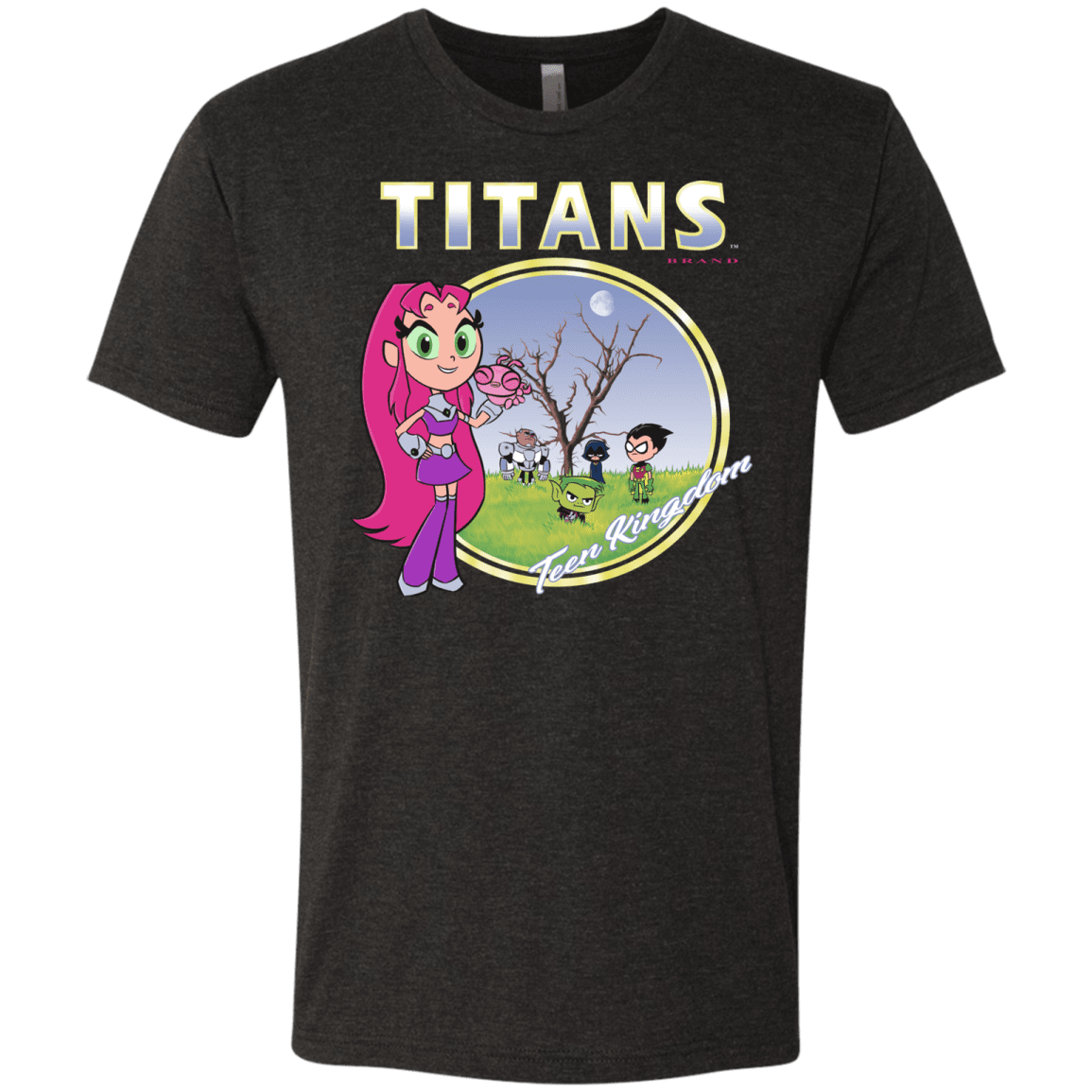 T-Shirts Vintage Black / S Titans Men's Triblend T-Shirt