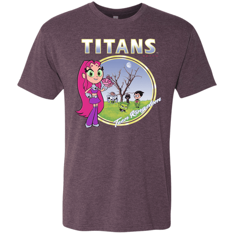 T-Shirts Vintage Purple / S Titans Men's Triblend T-Shirt