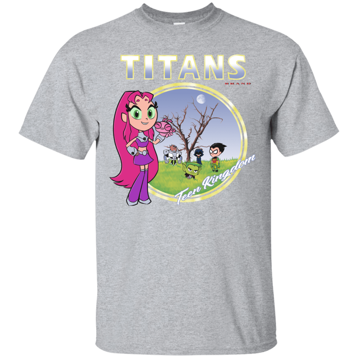 T-Shirts Sport Grey / S Titans T-Shirt