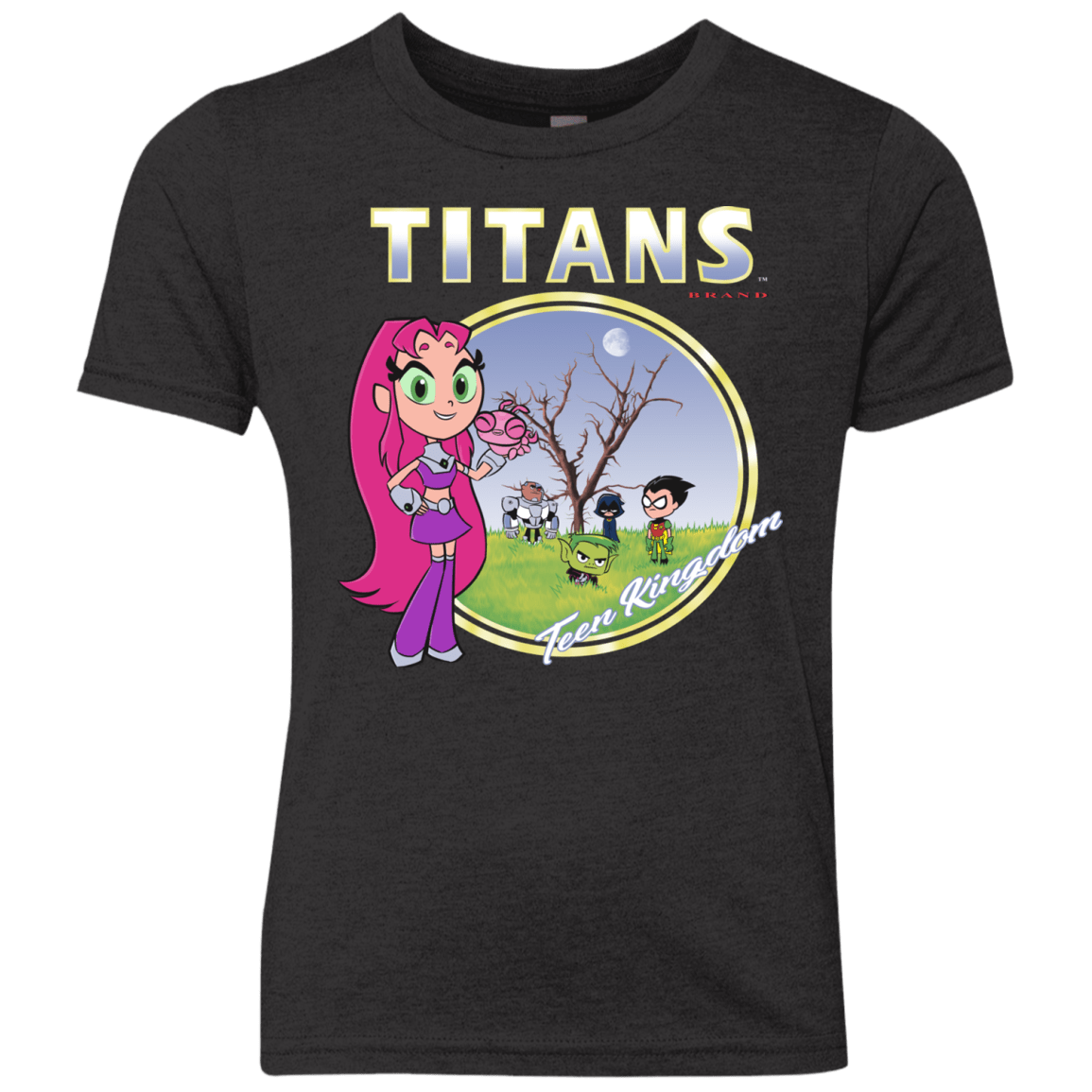 Titans Youth Triblend T-Shirt