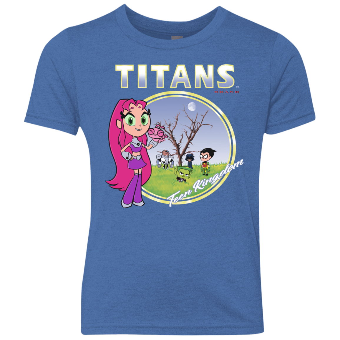 Titans Youth Triblend T-Shirt