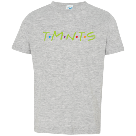 T-Shirts Heather Grey / 2T TMNTS Toddler Premium T-Shirt