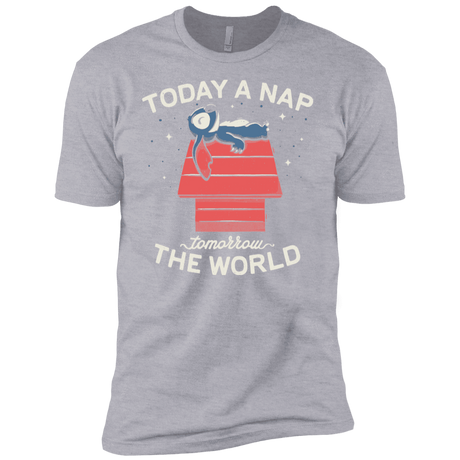 T-Shirts Heather Grey / YXS Today a Nap Tomorrow the World Boys Premium T-Shirt