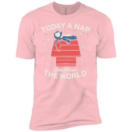 T-Shirts Light Pink / YXS Today a Nap Tomorrow the World Boys Premium T-Shirt
