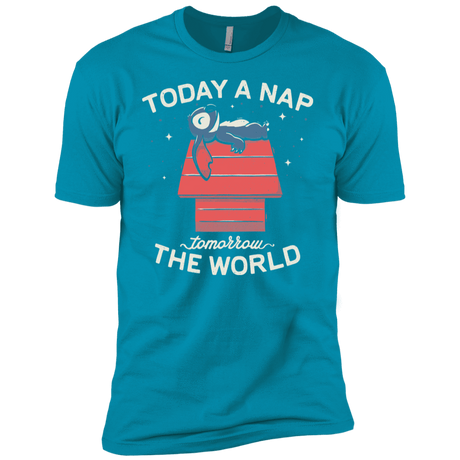 T-Shirts Turquoise / YXS Today a Nap Tomorrow the World Boys Premium T-Shirt