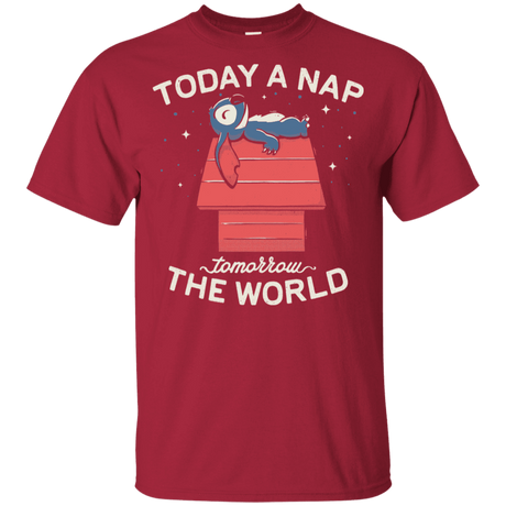 T-Shirts Cardinal / YXS Today a Nap Tomorrow the World Youth T-Shirt