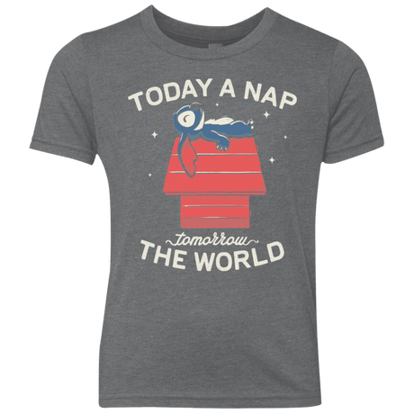 T-Shirts Premium Heather / YXS Today a Nap Tomorrow the World Youth Triblend T-Shirt