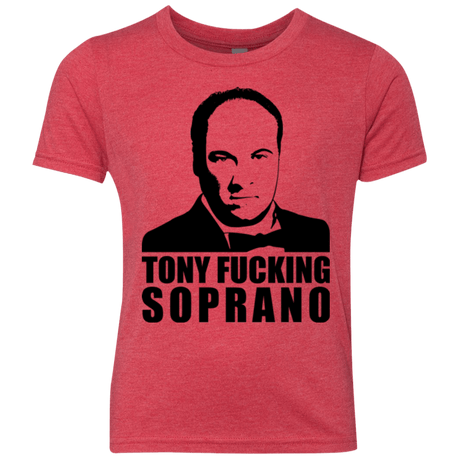 T-Shirts Vintage Red / YXS Tony Fucking Soprano Youth Triblend T-Shirt