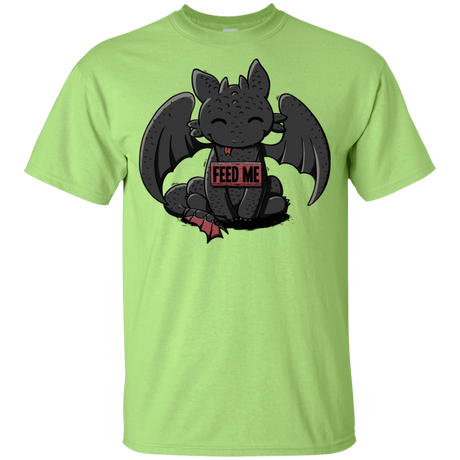 T-Shirts Mint Green / YXS Toothless Feed Me Youth T-Shirt