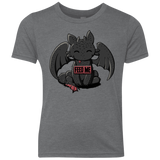 T-Shirts Premium Heather / YXS Toothless Feed Me Youth Triblend T-Shirt