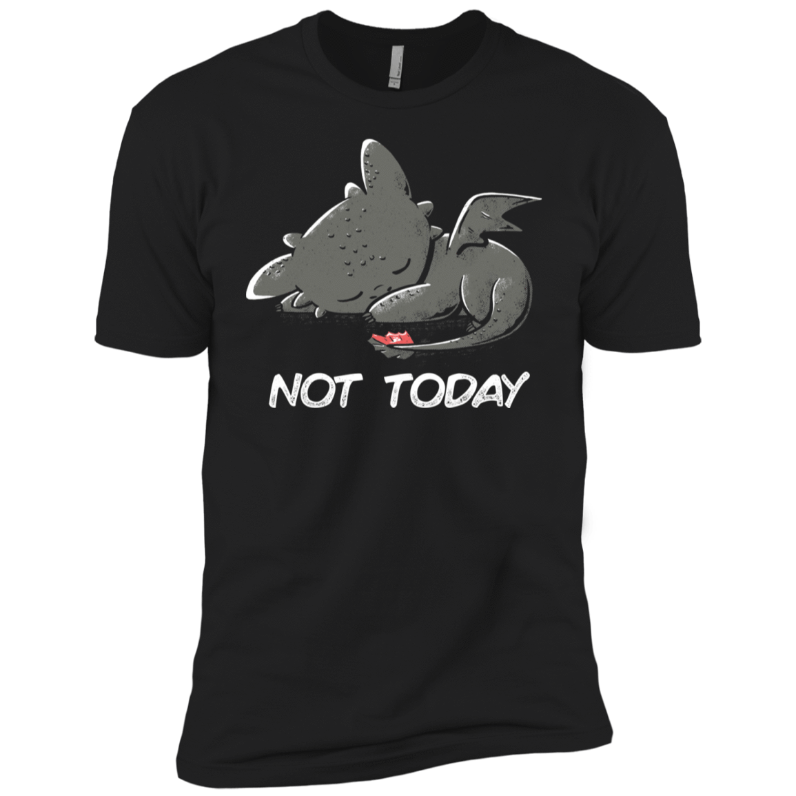 T-Shirts Black / YXS Toothless Not Today Boys Premium T-Shirt