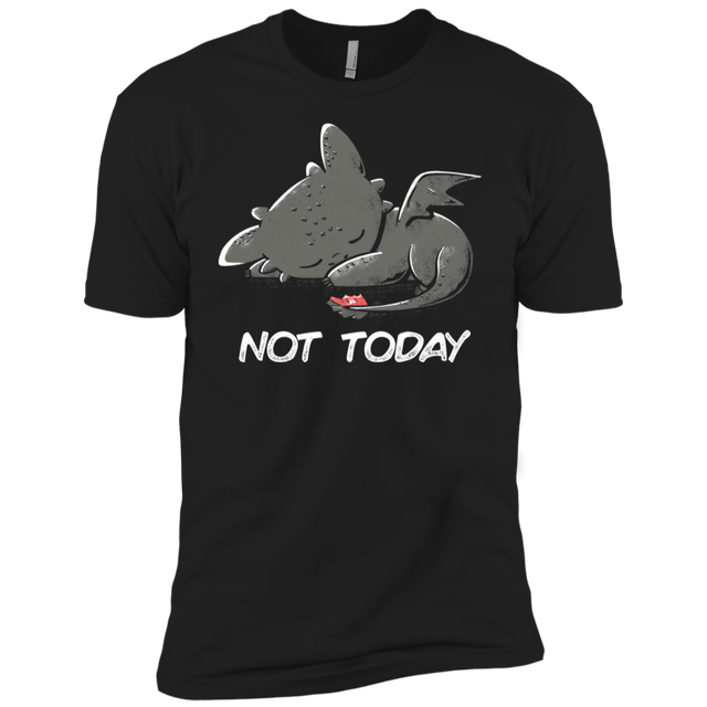 T-Shirts Black / YXS Toothless Not Today Boys Premium T-Shirt