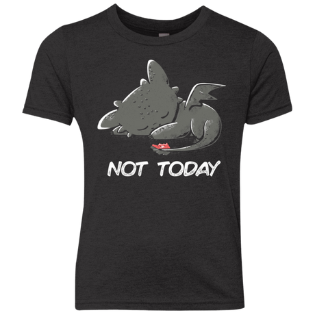 T-Shirts Vintage Black / YXS Toothless Not Today Youth Triblend T-Shirt